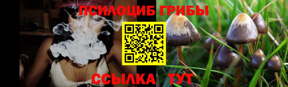  Кокаин Новоалтайск